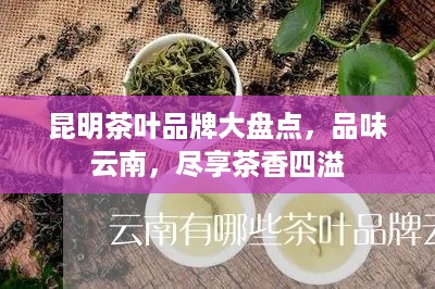 昆明茶叶品牌大盘点，品味云南，尽享茶香四溢