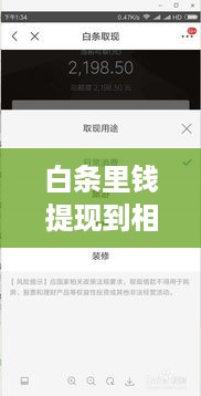 白条里钱提现到相关指南