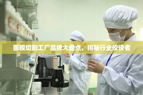 面膜切割工厂品牌大盘点，揭秘行业佼佼者