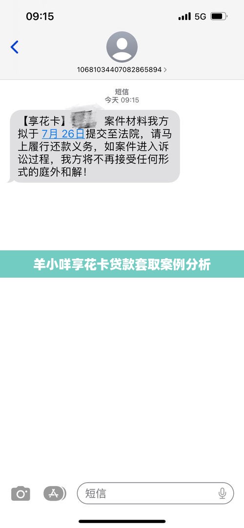 羊小咩享花卡贷款套取案例分析