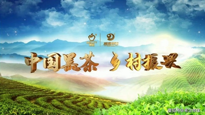 中国茶叶品牌建设，崛起之路与挑战并存