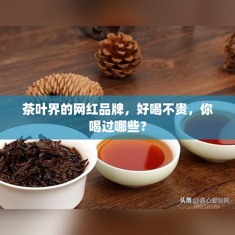 茶叶界的网红品牌，好喝不贵，你喝过哪些？