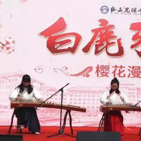 揭秘致间—品味生活中的茶香雅韵