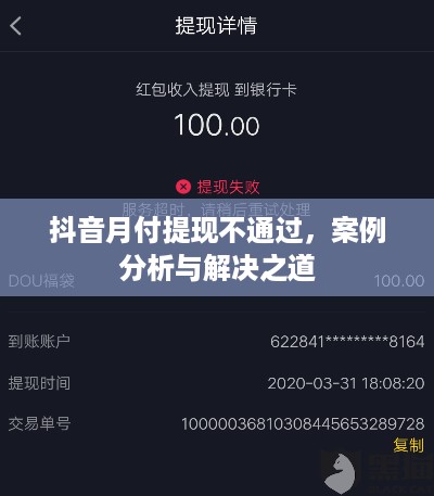 抖音月付提现不通过,案例分析与解决之道