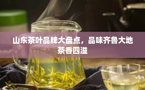 山东茶叶品牌大盘点，品味齐鲁大地茶香四溢