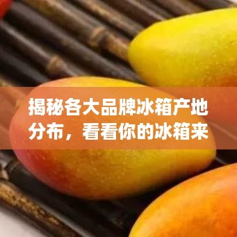 揭秘各大品牌冰箱产地分布，看看你的冰箱来自哪里？