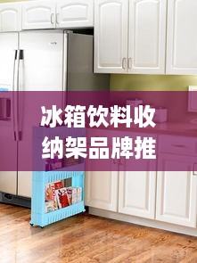 冰箱饮料收纳架品牌推荐，告别杂乱，打造清爽储物空间