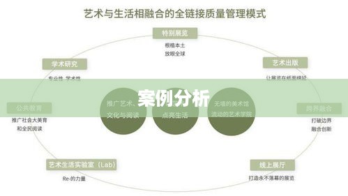 案例分析