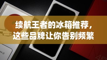 续航王者的冰箱推荐，这些品牌让你告别频繁充电烦恼