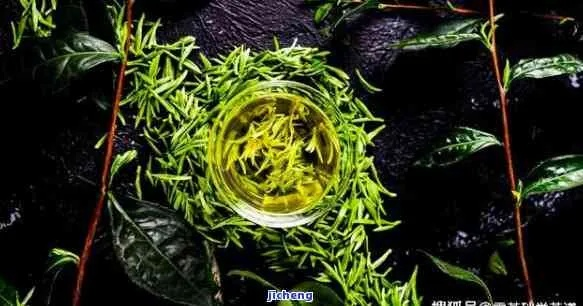 🌟茶香四溢，品味人生—AE茶叶，带你领略茶文化的魅力🍵