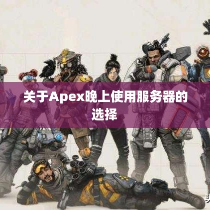 关于Apex晚上使用服务器的选择