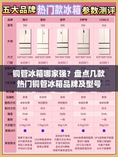 铜管冰箱哪家强？盘点几款热门铜管冰箱品牌及型号