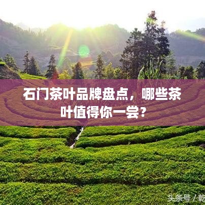 石门茶叶品牌盘点，哪些茶叶值得你一尝？