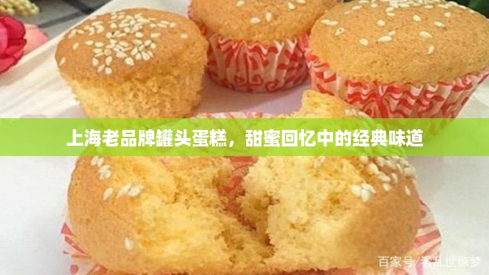 上海老品牌罐头蛋糕，甜蜜回忆中的经典味道