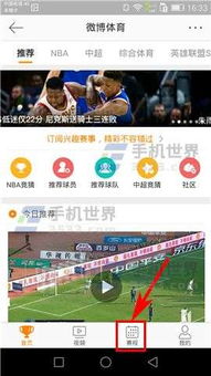 新浪博盗取技巧大揭秘，高手之路能否成功？