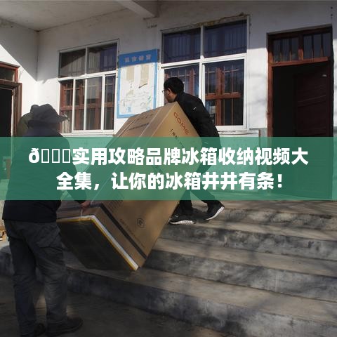 🌟实用攻略品牌冰箱收纳视频大全集，让你的冰箱井井有条！