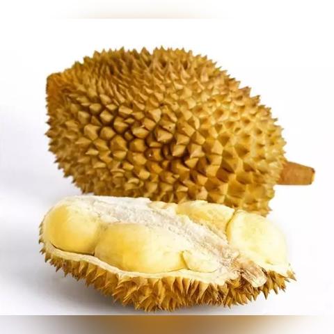 榴莲控必看！榴莲茶叶品牌排名前十，品味热带风情！