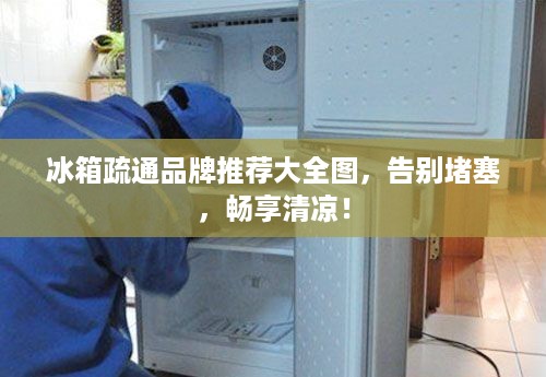冰箱疏通品牌推荐大全图，告别堵塞，畅享清凉！