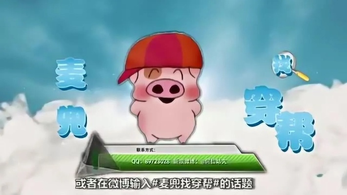 麦兜所属服务器揭秘