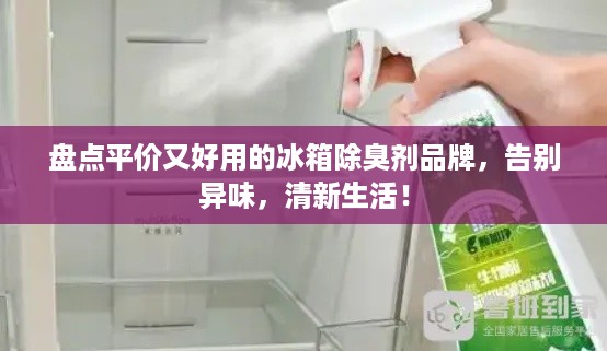 盘点平价又好用的冰箱除臭剂品牌，告别异味，清新生活！