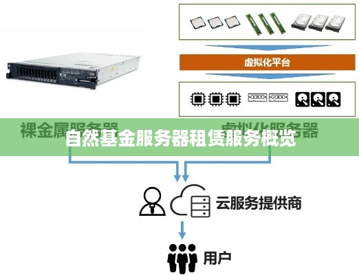 自然基金服务器租赁服务概览