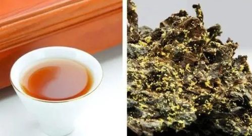 港北白茶，品味历史沉淀，探寻茶叶品牌的独特魅力