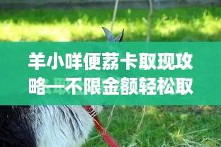 羊小咩便荔卡取现攻略—不限金额轻松取现
