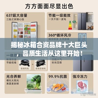 揭秘冰箱合资品牌十大巨头，品质生活从这里开始！