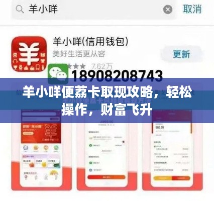 羊小咩便荔卡取现攻略，轻松操作，财富飞升