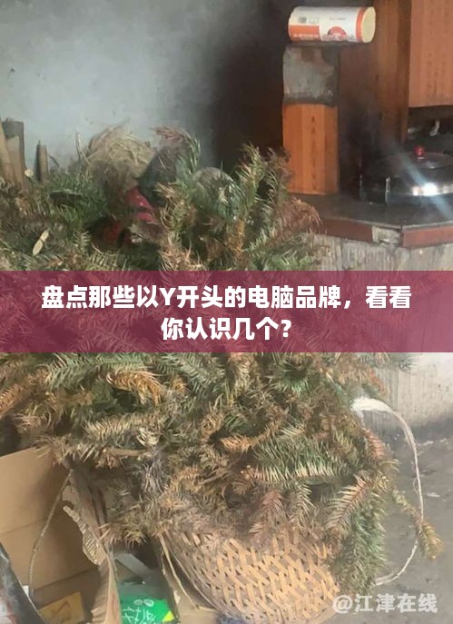 盘点那些以Y开头的电脑品牌，看看你认识几个？