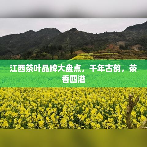 江西茶叶品牌大盘点，千年古韵，茶香四溢