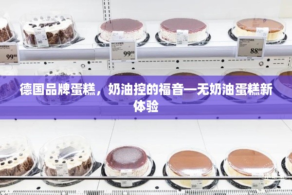 德国品牌蛋糕，奶油控的福音—无奶油蛋糕新体验