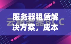 服务器租赁解决方案，成本、性能与灵活性的平衡艺术