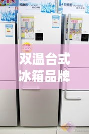 双温台式冰箱品牌推荐，实用与美观并存的选择