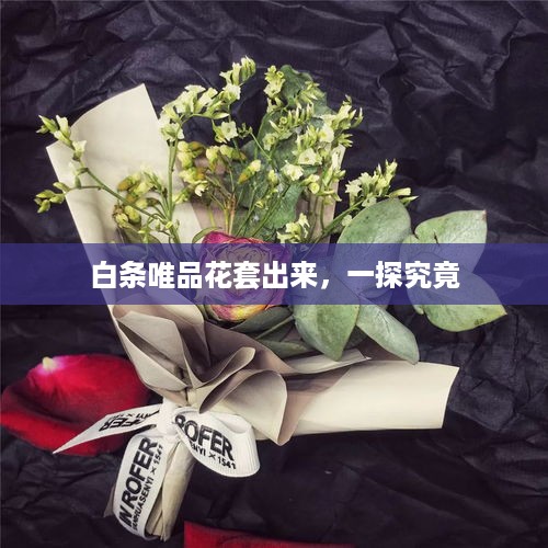 白条唯品花套出来，一探究竟