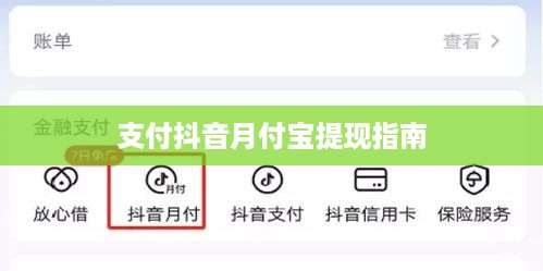 支付抖音月付宝提现指南