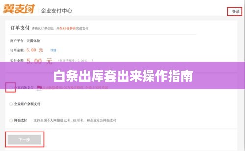 白条出库套出来操作指南