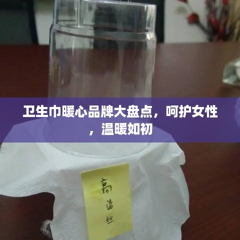 卫生巾暖心品牌大盘点，呵护女性，温暖如初