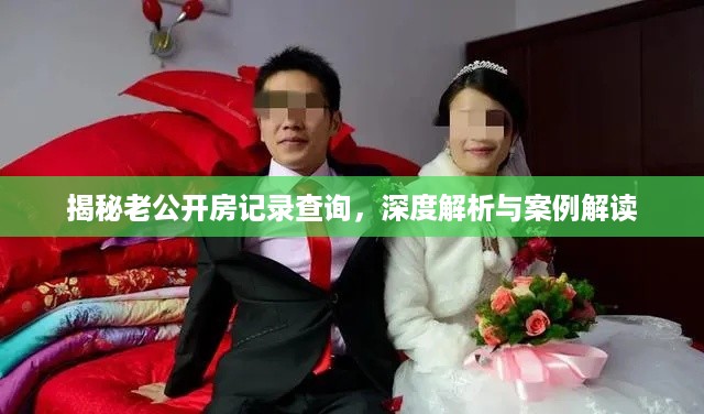 揭秘老公开房记录查询，深度解析与案例解读