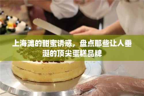 上海滩的甜蜜诱惑，盘点那些让人垂涎的顶尖蛋糕品牌