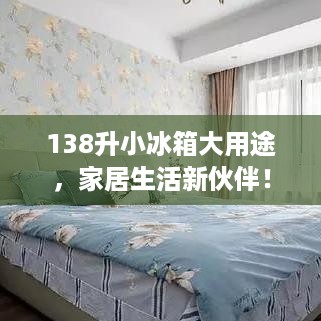 138升小冰箱大用途，家居生活新伙伴！