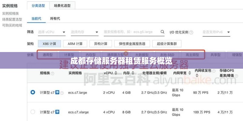 成都存储服务器租赁服务概览