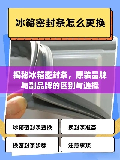 揭秘冰箱密封条，原装品牌与副品牌的区别与选择