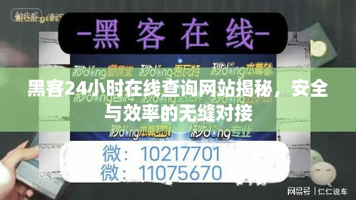 黑客24小时在线查询网站揭秘，安全与效率的无缝对接