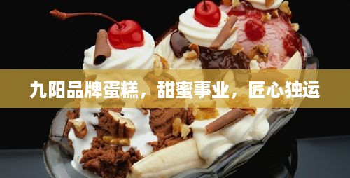 九阳品牌蛋糕，甜蜜事业，匠心独运