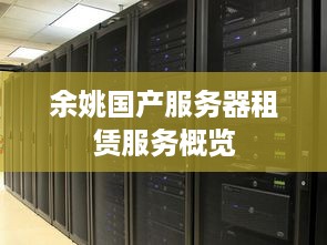 余姚国产服务器租赁服务概览