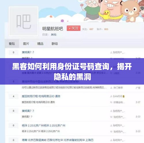 黑客如何利用身份证号码查询，揭开隐私的黑洞