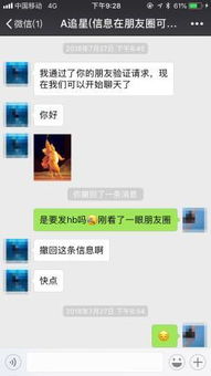 黑客如何利用身份证号码查询，揭开隐私的黑洞
