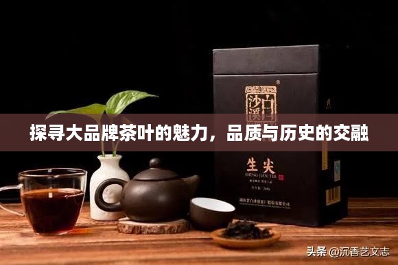探寻大品牌茶叶的魅力，品质与历史的交融