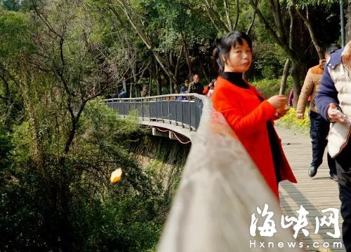 查询老公开房记录，揭秘隐私保护之道